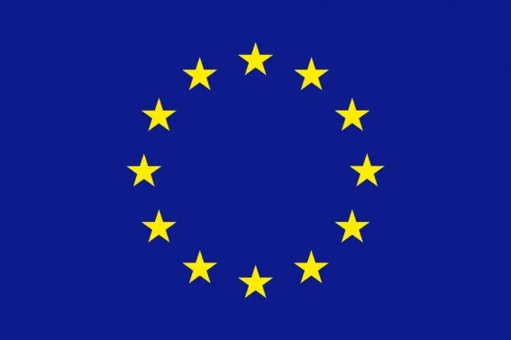 [EU2024] BANDERA EXTERIOR CEE 210X140CM C/anillas para mastil