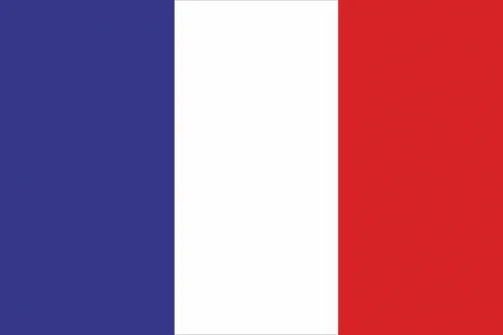 [AF2006] BANDERA EXTERIOR FRANCIA 210X140CM C/anillas para mastil